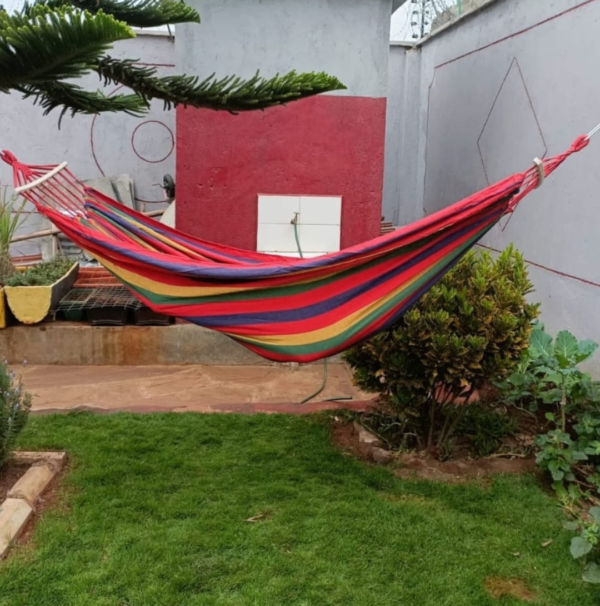 Hammock