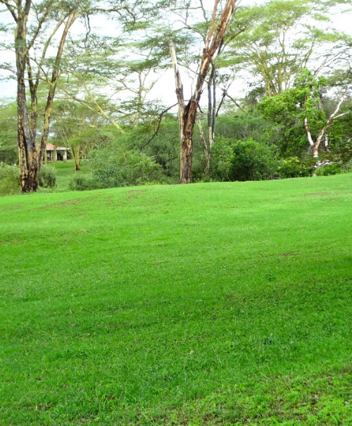 STORMS RESORT & CAMPSITE (4)